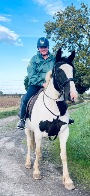 15.1 Piebald Cob Mare 