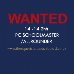WANTED - 14-14.2HH PC SCHOOLMASTER/ALLROUNDER 