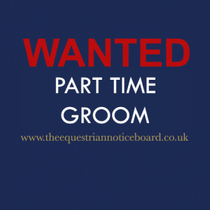 Wanted - Part time groom -  Compton Pauncefoot, Nr. Wincanton, Somerset 