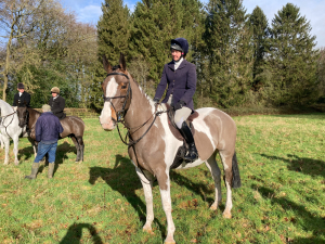 Fabulous Hunter/Allrounder