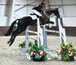 Fun Showjumper