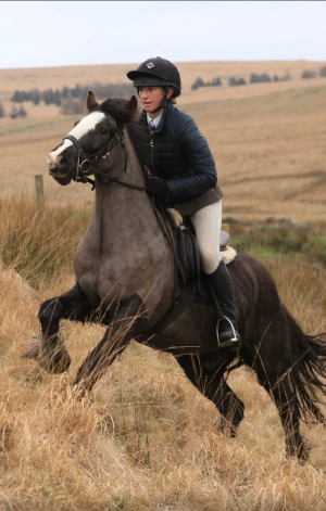 Super fun all rounder 