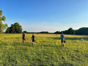 Horsey Family Help - Gardener / Groundsman / Handyman