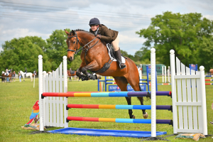 ULTIMATE PONYCLUB/RIDING CLUB SHOWJUMPER OR BS POCKET ROCKET