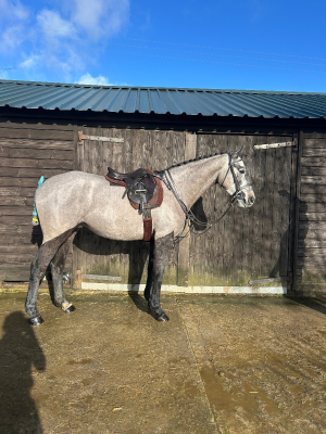 Genuine young prospect. 