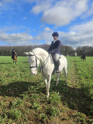 Stunning Cremello All Rounder 