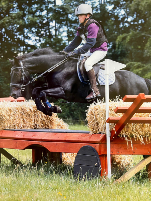 Safe pony club tet pony 