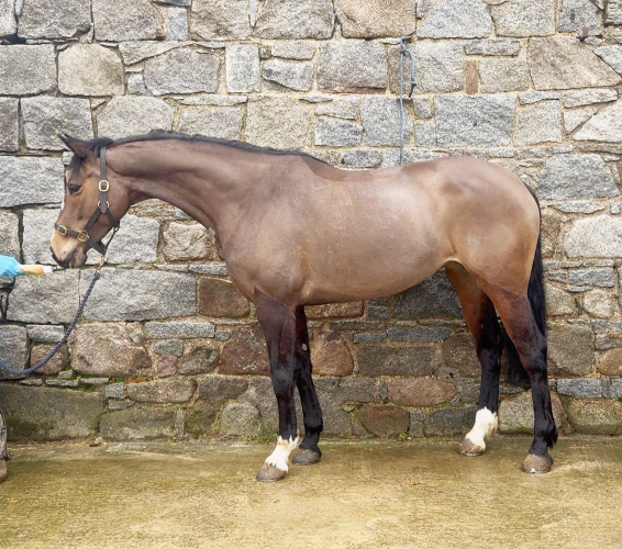 What a type for any job!