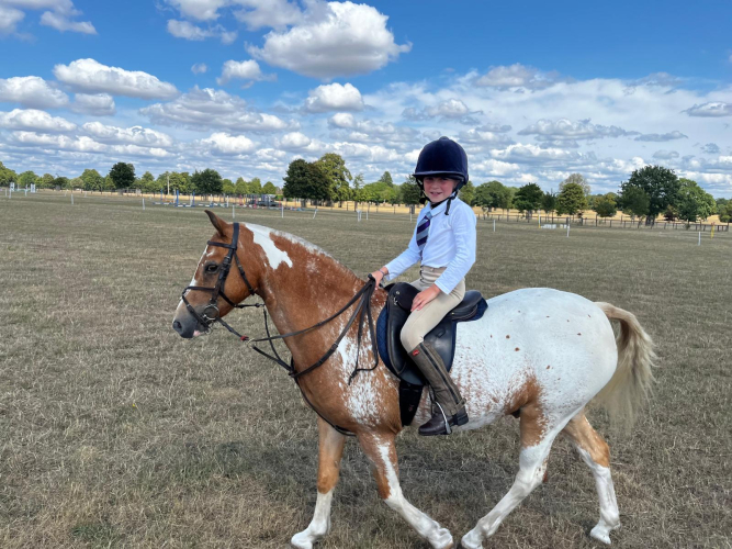 Super 13hh Hunting Pony