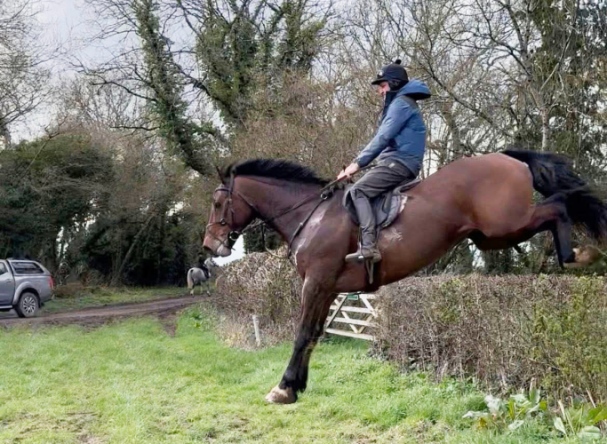 master / hunt staff / eventer