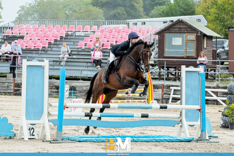 Fun thoroughbred all rounder type