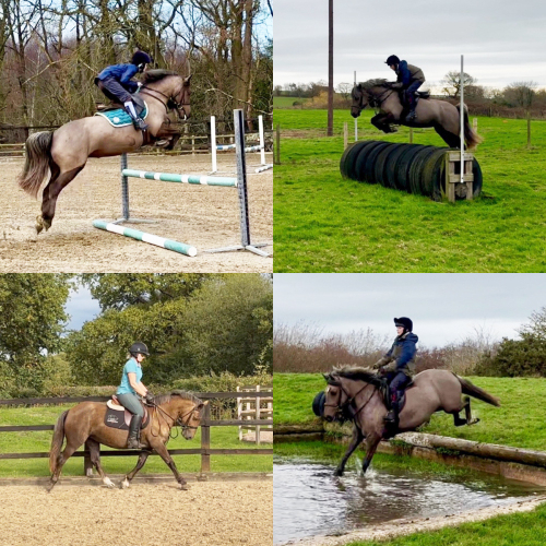 ABSOLUTE LEGEND OF A PONY