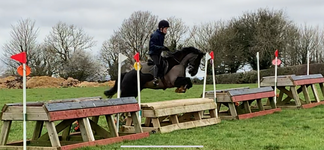 Smart fun All rounder pony