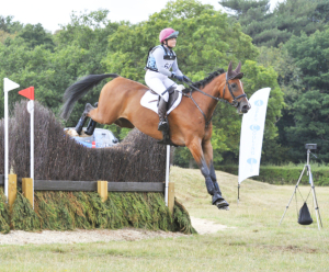 16.3hh 7yo Winning Event Horse, talented and well bred READVERTISED DUE TO TIMEWASTER