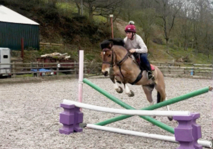 Fun allrounder/Hunter 13.3hh mare