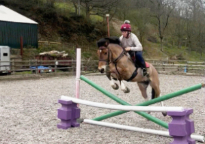 Fun allrounder/Hunter 13.3hh mare