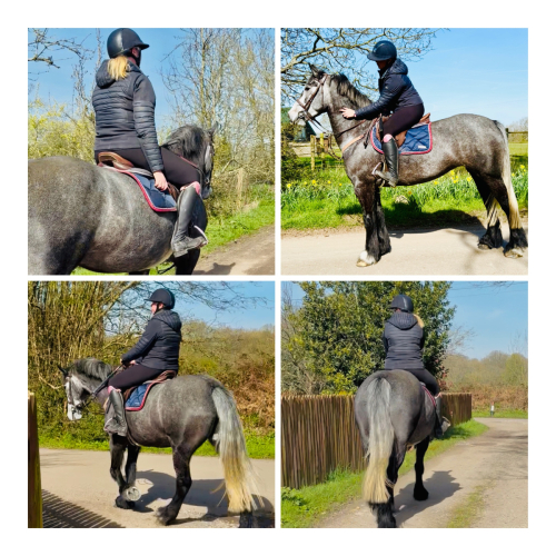 FANTASTIC GENUINE KIND ALLROUNDER !