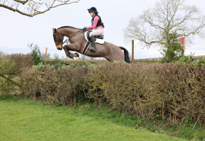 Cracking 15.2 hunt/ team chase machine