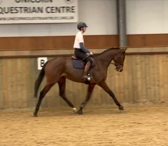 Flashy and Genuine, Future Superstar