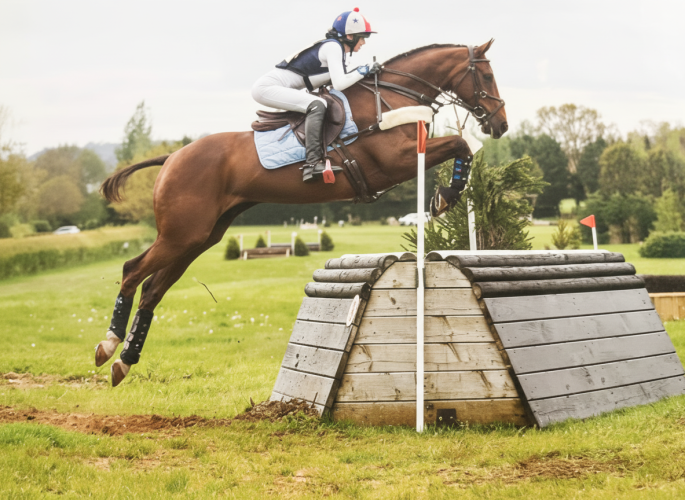 Fun, athletic grassroots/ allrounder