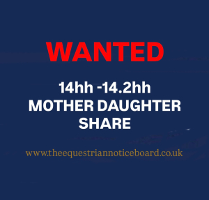 Looking for a 13.2-14h pony 