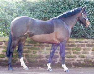 ANNANDALE JEAN GENIE