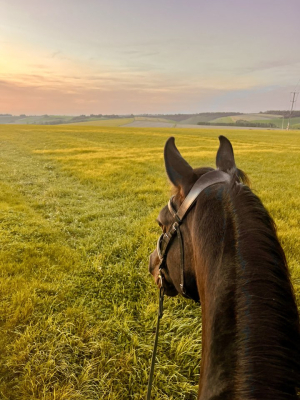 Stunning - Mother/Daughter Share - Allrounder