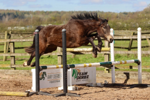 One In A Million 3yo