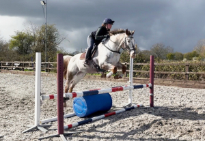 Super safe fun Allrounder 