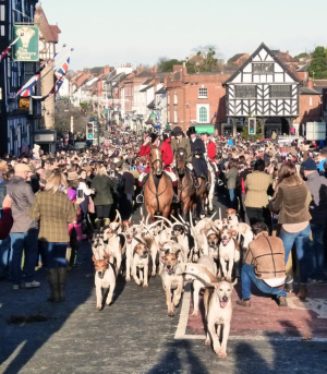 Stud Groom - Ledbury Hunt 26/27 Season