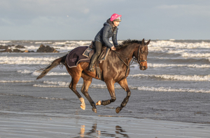 Beautiful, Kind and uncomplicated 