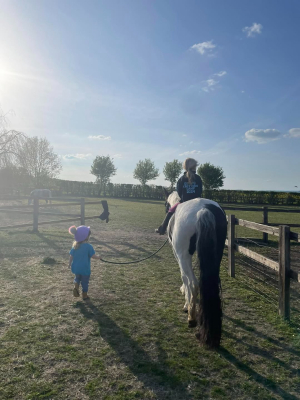 SEARCHING FOR A NEW MEMBER OF THE FAMILY!