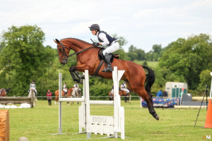 Beautiful & Proven Event / Hunt / Working Hunter / Allrounder