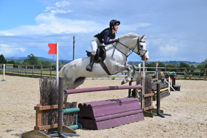 Eyecatching, Ladies Hunter 