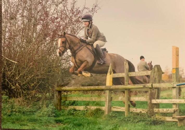 13.2 hh 9YO Hunting Machine