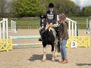 13.2 fun and forward Welsh cob mare for sale