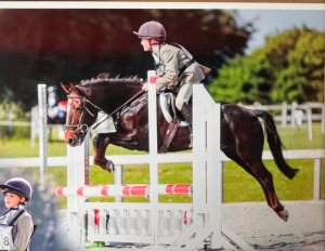 Cracking New Forest 13.1hh Gelding Hunt/ Pony Club/All Rounder