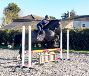 Ultimate family allrounder 