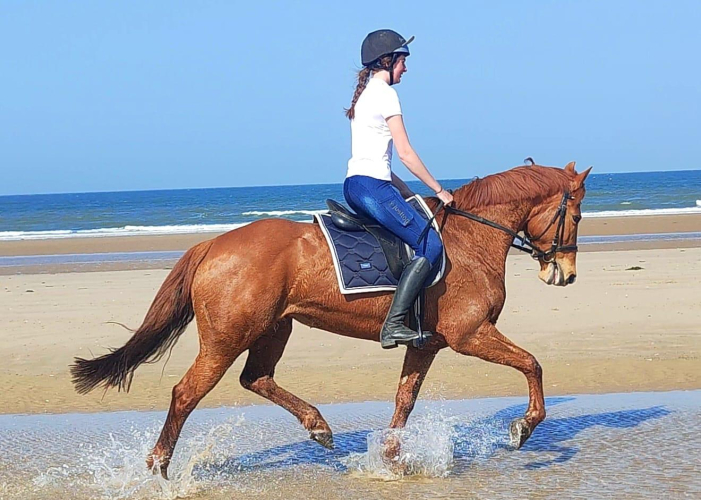 Ultimate confidence giving allrounder