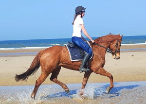 Ultimate confidence giving allrounder