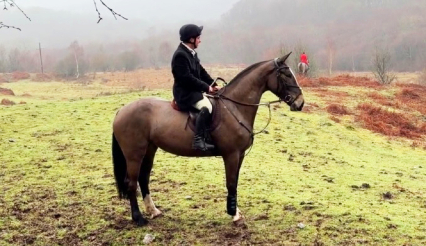 Quality Weight Carrier