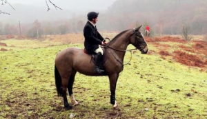 Quality Weight Carrier 