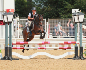 Experienced 138 Competition Pony