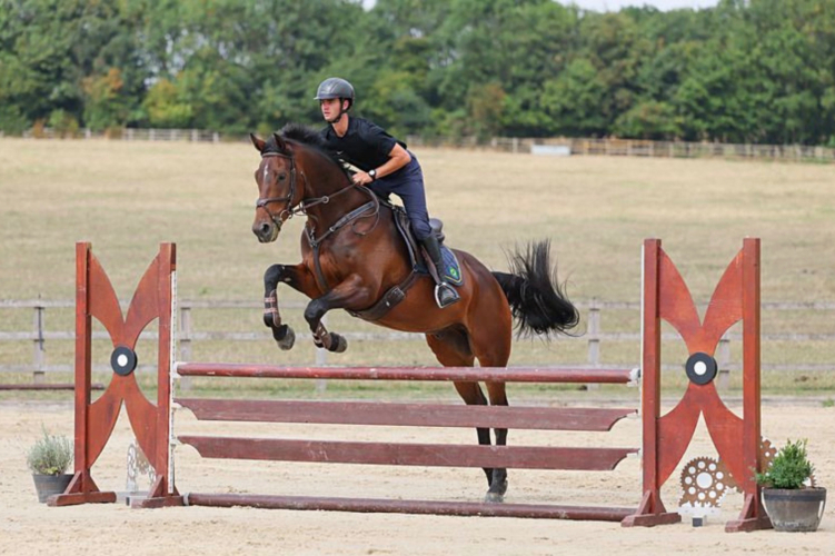 Gelding with huge potential