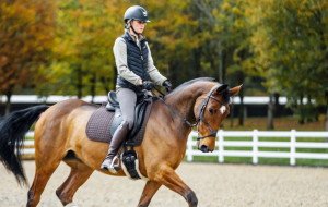 Beautiful ISH - Honest advert