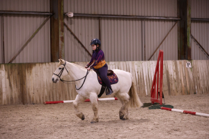 WANTED: Kind, Genuine Pony for Much-Loved Family Home