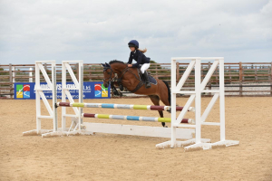 Fantastic competition/ BS/ Event/ competitive PC pony 
