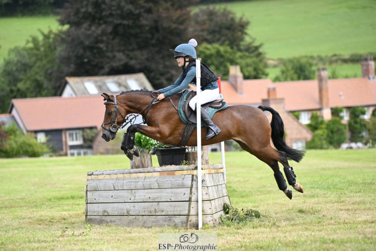 Smart competition pony/ All-rounder