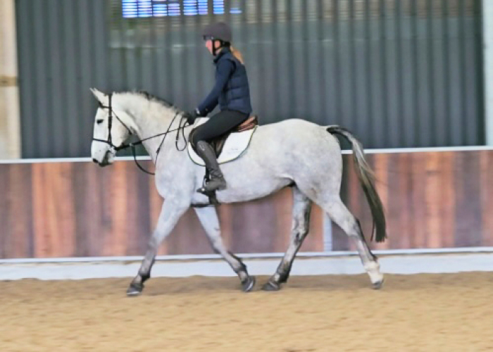 Fantastic Allrounder