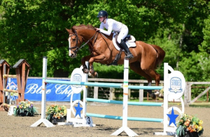 Showjumper/All rounder